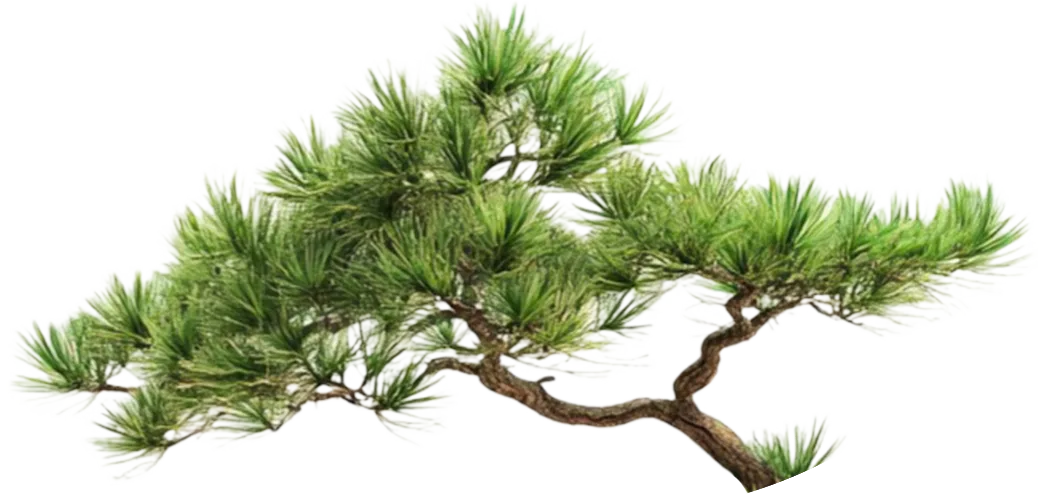 art green tree